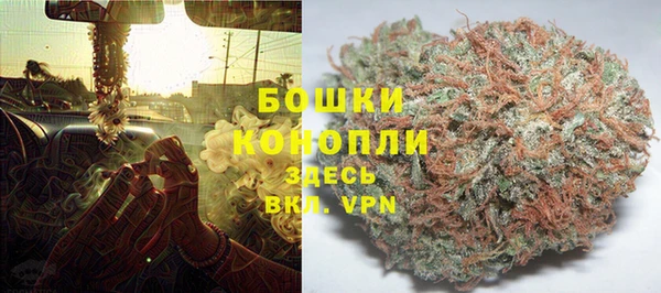 экстази Арсеньев