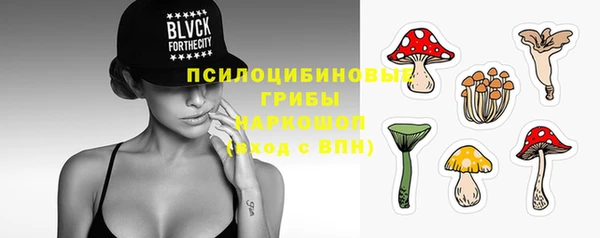 таблы Осташков